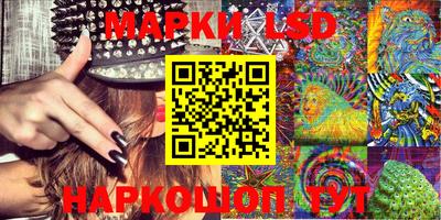 гидропоника Будённовск