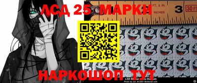 гидропоника Будённовск